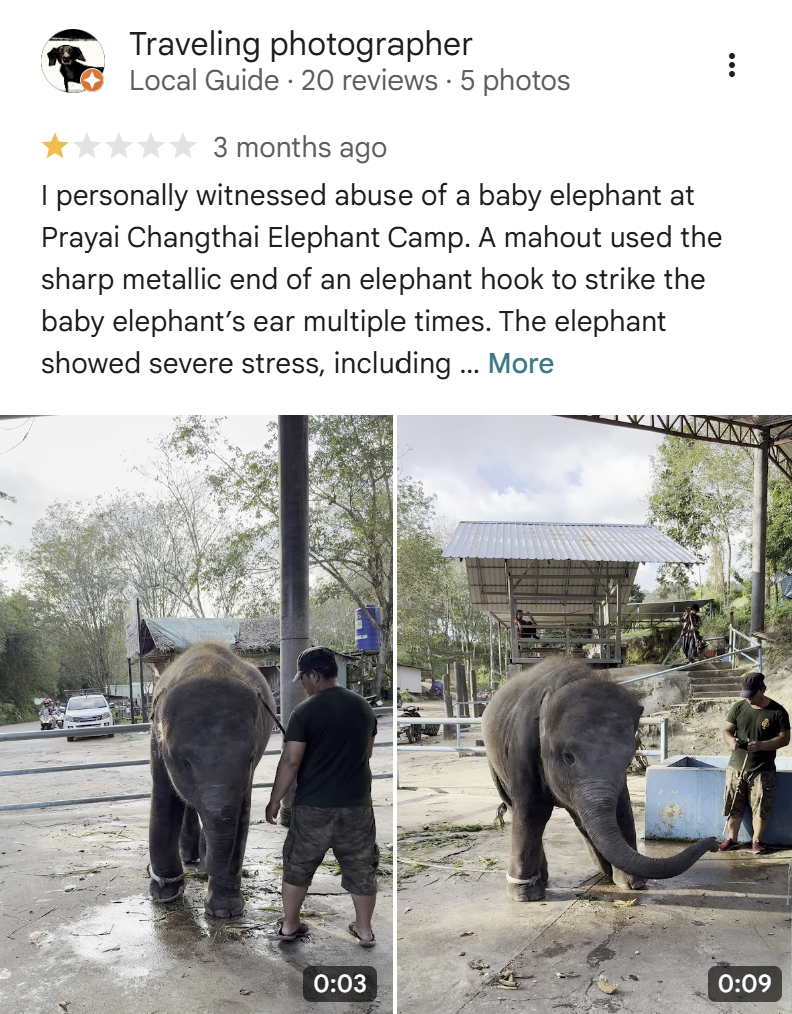 Google review from Traveling photographer - witnessed baby elephant abuse with hook