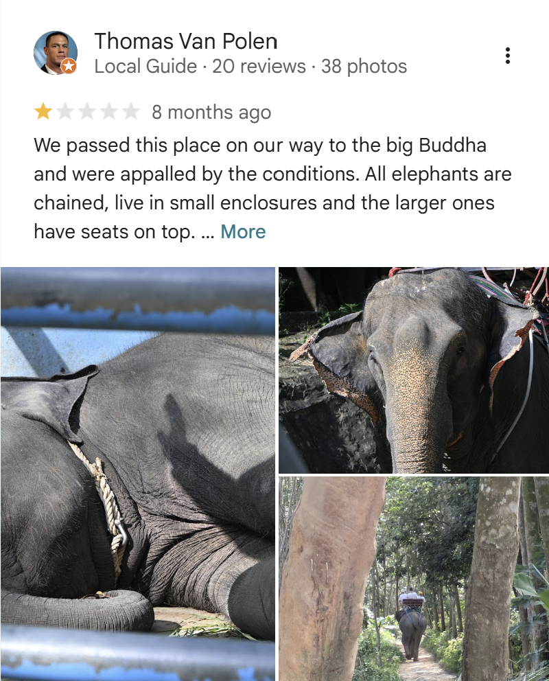 Google review from Thomas Van Polen - elephants chained in small enclosures