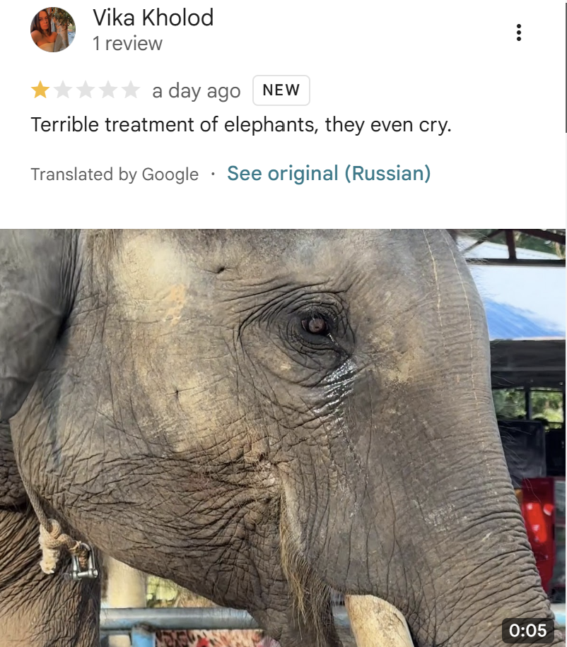 Google review from Vika Kholod - terrible treatment, elephants cry